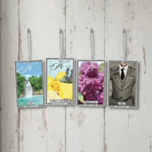 Air Freshener (4pack)